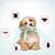 2 articles Petopia Collier anti-puces et anti-insectes pour chien