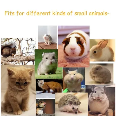 IntiMeg Tunnel de jeu