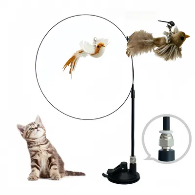 Pet Planet Baton pour divertir les chats avec oiseau simulé