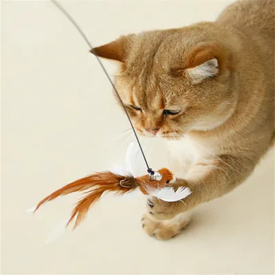 Pet Planet Baton pour divertir les chats avec oiseau simulé