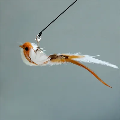 Pet Planet Baton pour divertir les chats avec oiseau simulé