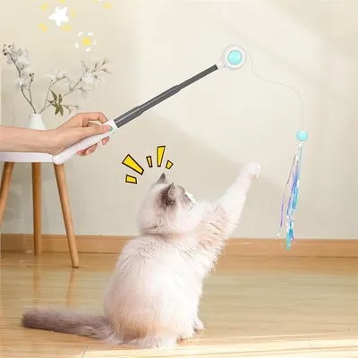 Pet Planet Jouet à plumes rétractable pour chat