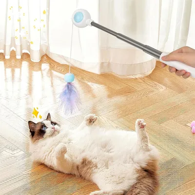 Pet Planet Jouet à plumes rétractable pour chat