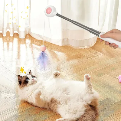 Pet Planet Jouet à plumes rétractable pour chat