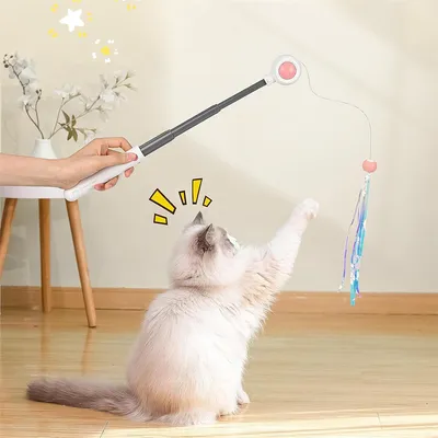 Pet Planet Jouet à plumes rétractable pour chat