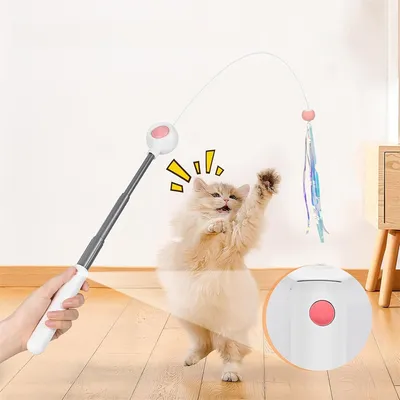 Pet Planet Jouet à plumes rétractable pour chat