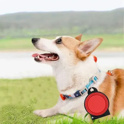 Petopia Gamelle pliable 2 en 1 pour chien