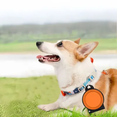 Petopia Gamelle pliable 2 en 1 pour chien