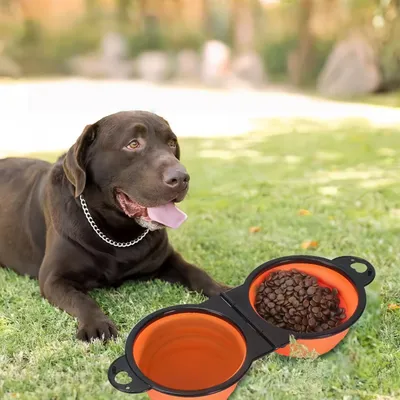 Petopia Gamelle pliable 2 en 1 pour chien