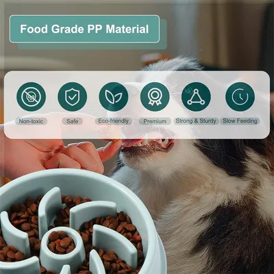 IntiMeg Gamelle anti glouton pour chien et chat 45*60CM