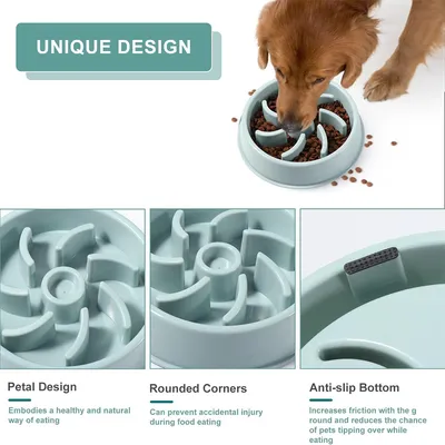 IntiMeg Comedero de alimentación lenta para perros y gatos, 45*60 cm