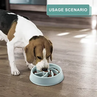 IntiMeg Gamelle anti glouton pour chien et chat 45*60CM