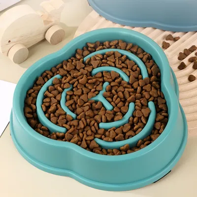 Petopia Gamelle anti - glouton pour chien