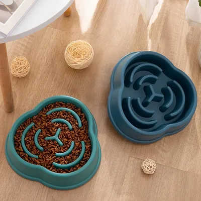 Petopia Gamelle anti - glouton pour chien