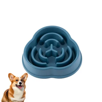 Petopia Gamelle anti - glouton pour chien
