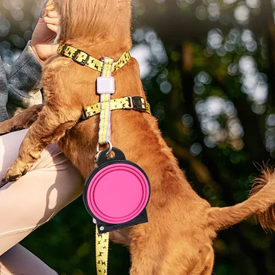 Petopia Comedero plegable 2 en 1 para perros