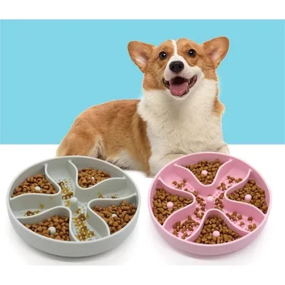 Pet Planet Tapis à Lécher pour Chiens