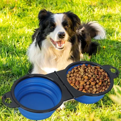 Petopia Gamelle pliable 2 en 1 pour chien