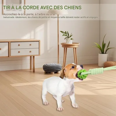 Pet Planet Chiens Jouet de Traction