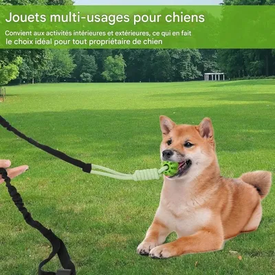 Pet Planet Chiens Jouet de Traction