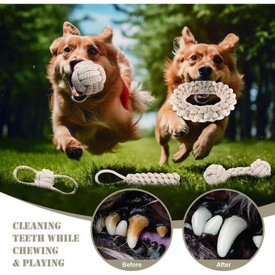 Pet Planet Chiens Happy Time Cordes pour Chien