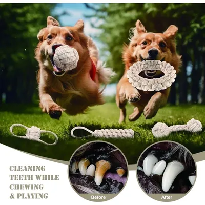 Pet Planet Chiens Happy Time Cordes pour Chien