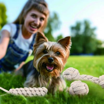 Pet Planet Chiens Happy Time Cordes pour Chien