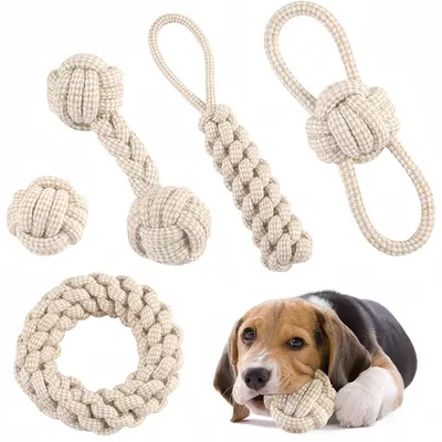 Pet Planet Chiens Happy Time Cordes pour Chien