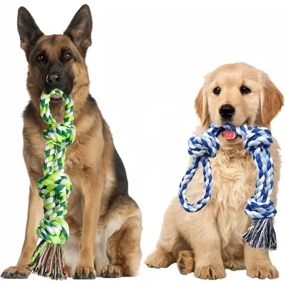 Pet Planet Chiens ToughPlay Jouet de Corde
