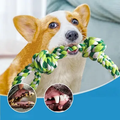 Pet Planet Chiens ToughPlay Jouet de Corde