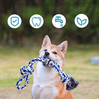 Pet Planet Chiens ToughPlay Jouet de Corde