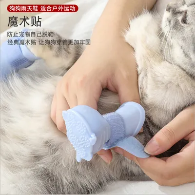Petopia Chaussures antidérapantes pour chien