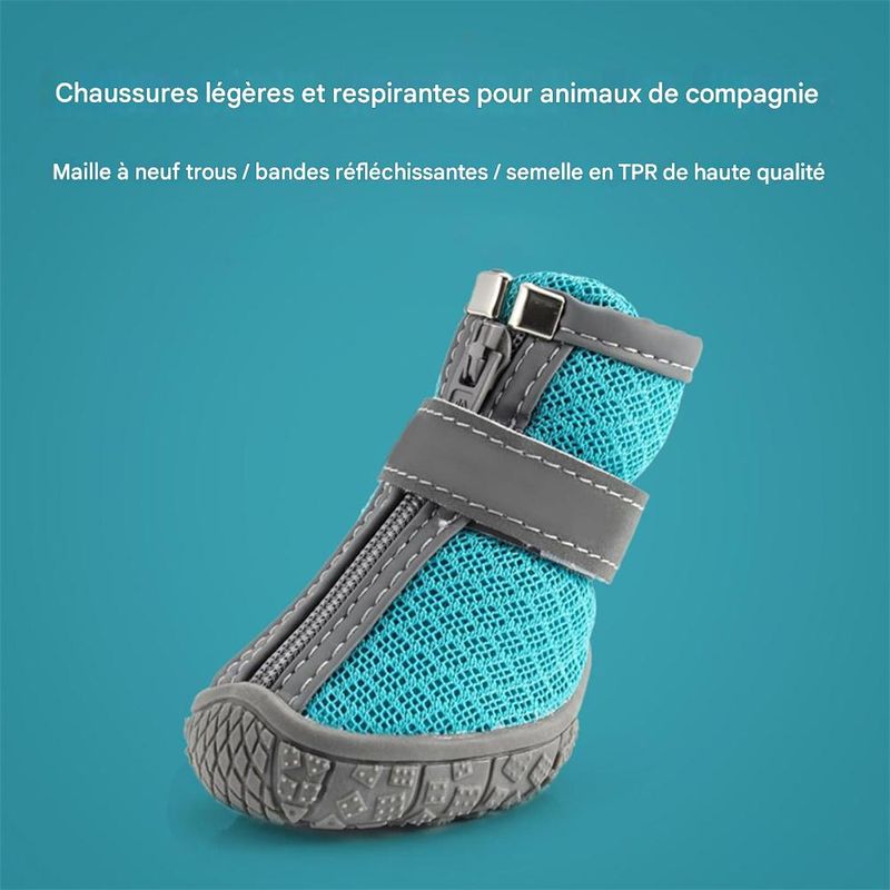 IntiMeg Chaussures de protection pour chien