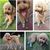 IntiMeg Chaussures de protection pour chien