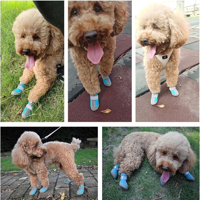 IntiMeg Chaussures de protection pour chien