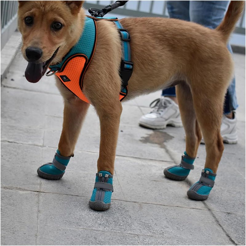 IntiMeg Chaussures de protection pour chien
