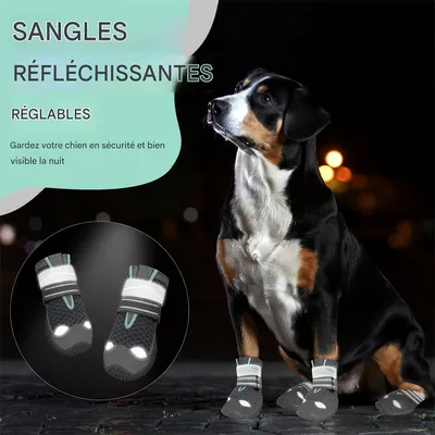 Pet Planet Bottes respirantes et antidérapantes pour chien