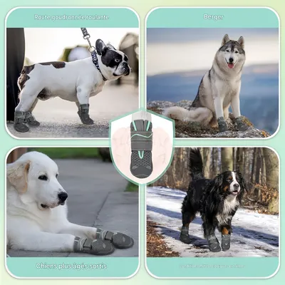 Pet Planet Bottes respirantes et antidérapantes pour chien