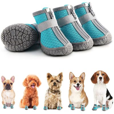 IntiMeg Chaussures de protection pour chien