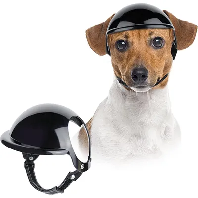 Petopia Casque pour chien Petopia Casque pour chien