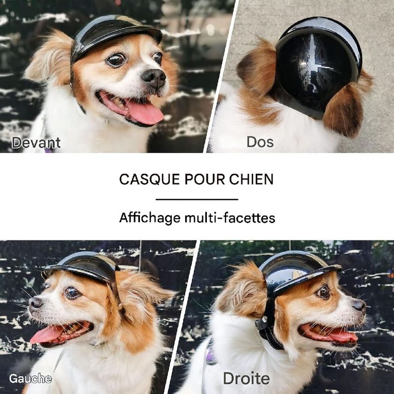 Petopia Casque pour chien