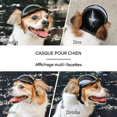 Petopia Casque pour chien Petopia Casque pour chien