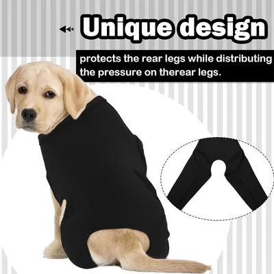 IntiMeg Ceinture de maintien des pattes du chien