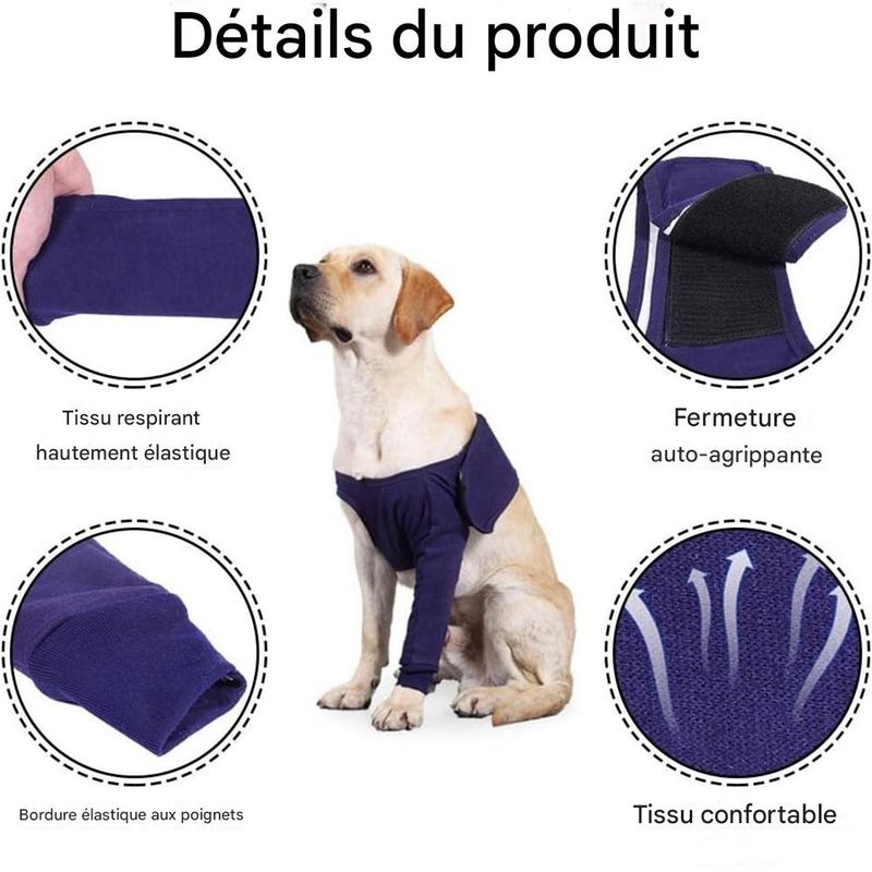 IntiMeg Ceinture de maintien des avant pattes du chien