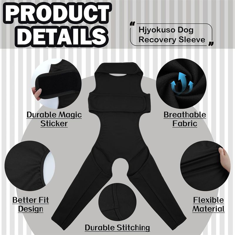 IntiMeg Ceinture de maintien des pattes du chien