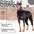 IntiMeg Ceinture de maintien des pattes du chien