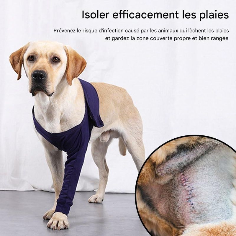 IntiMeg Ceinture de maintien des avant pattes du chien