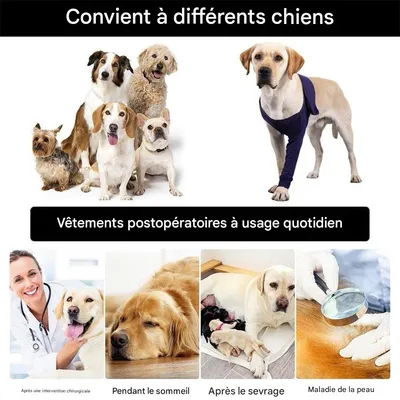 IntiMeg Ceinture de maintien des avant pattes du chien