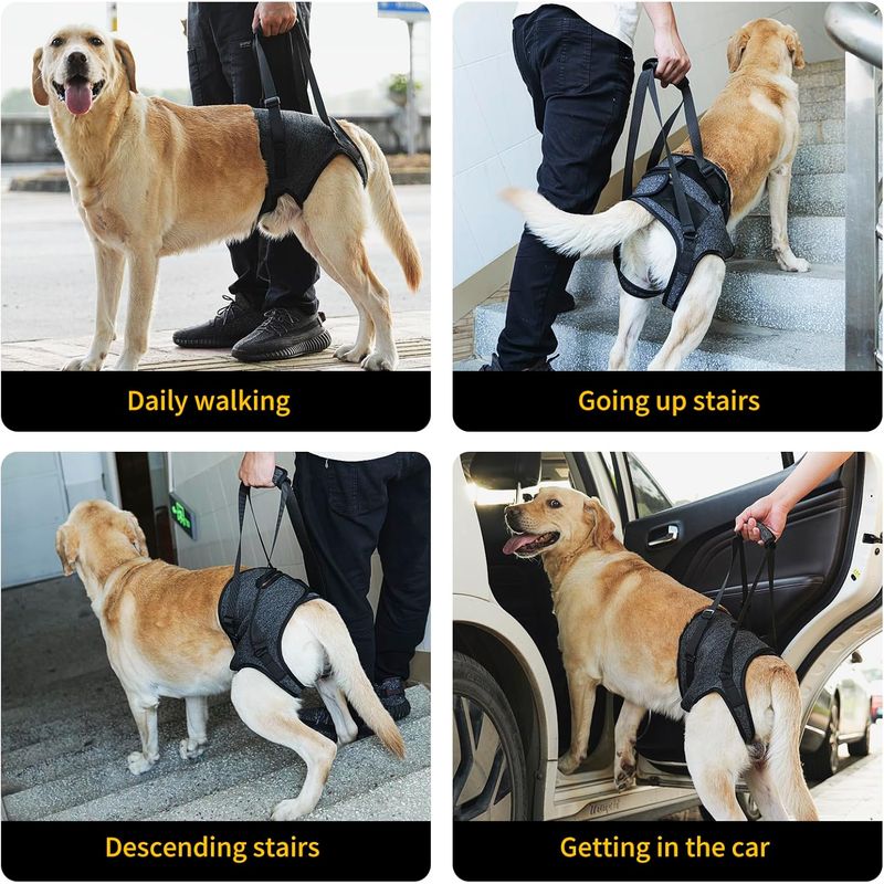 ZenPets Harnais de levage et soutien pour chiens