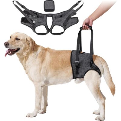 ZenPets Harnais de levage et soutien pour chiens